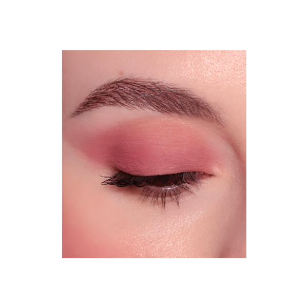 Sombra ojos Chromo Therapy Mat Finish EYESHADOW Tono 2 Velvet Entropy